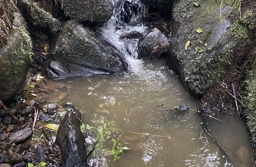 Te Miro House | Secluded within 12 acres of native bush