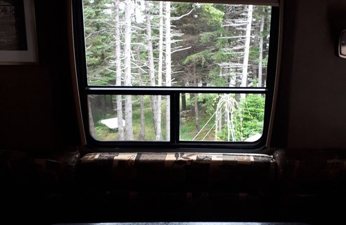 Shoal Harbour House | Secluded wooded getaway steps from the salt water