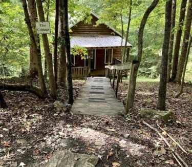 Elkin House | Secluded Woodland Cabin Rental with Hot Tub in Yadkin Valley Wine Region