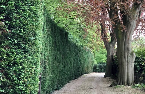 Appleton House | Seclusion Amongst the Trees