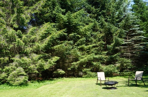 Roxbury House | Seclusion only minutes away from everything !