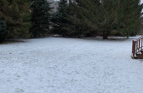 Roxbury House | Seclusion only minutes away from everything !