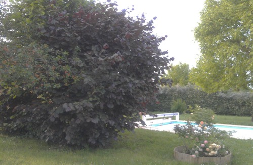 Dry House | Second family residence with heated pool, 40 minutes from Chambord.