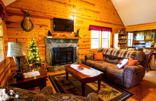 Young Harris Cabin | Second Heaven Cabin - Fireplace & Hot Tub