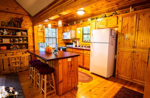 Young Harris Cabin | Second Heaven Cabin - Fireplace & Hot Tub