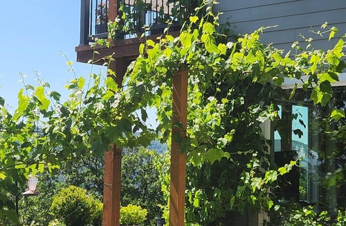 Carrolls Apartment | Secret Cozy Gem—Why Regulars Call It the County’s Best-Kept Find