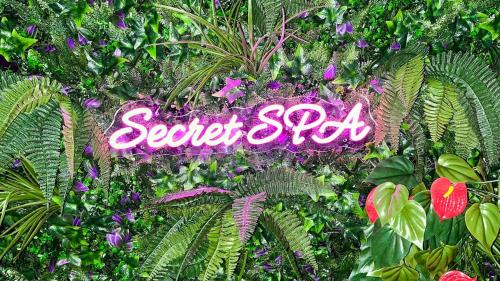 Quartier Chorier-Berriat Apartment | Secret SPA Jacuzzi & Cinema