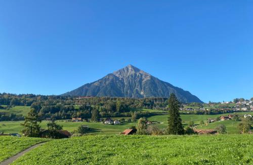 Faulensee Apartment | See und Berge Family