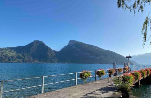 Faulensee Apartment | See und Berge Garden