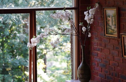 Sassafras Cabin | Seednest Treehouse | Forest & Mountain View