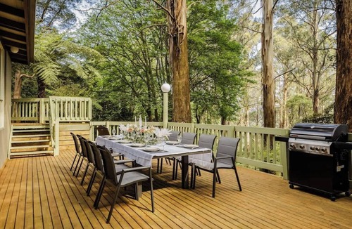 Sassafras Cabin | Seednest Treehouse | Forest & Mountain View