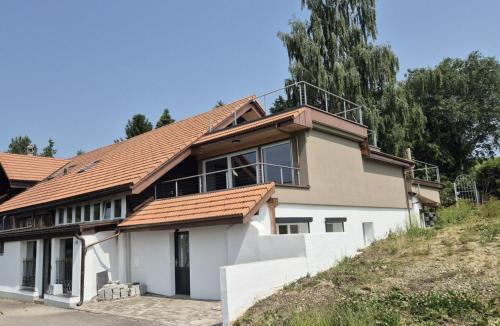 Alterswil Villa | Seeliwood cheminée et confort région Schwarzsee