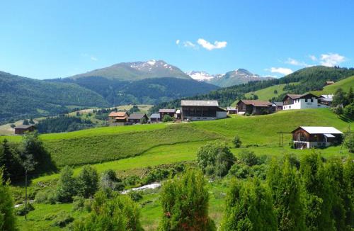 Segnas Apartment | Segnas Mountain Apartment