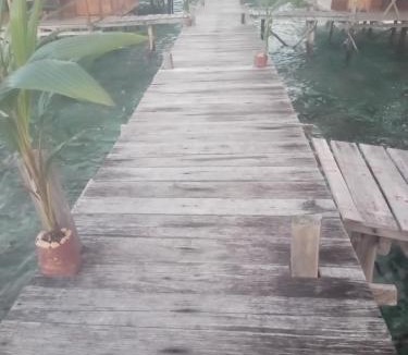 Arborek House | Sehati Homestay - Raja Ampat