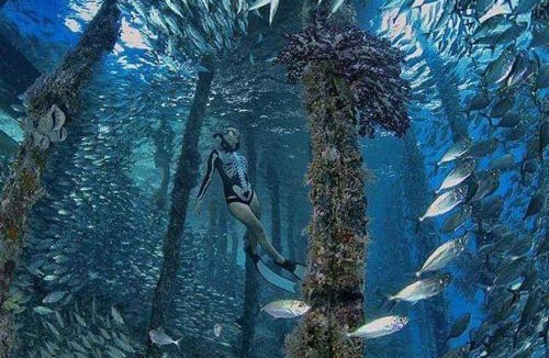 Arborek House | Sehati Homestay - Raja Ampat