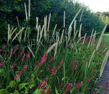 Conteville House | Seinebnb - Havre de paix à la campagne - Honfleur
