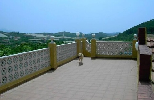 Callosa d' En Sarria Cottage | Self catering Villa Micleta for 11 people