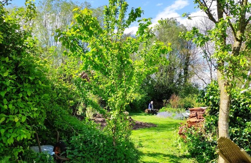 Lederzeele House | Self-catering cottage in Flanders
