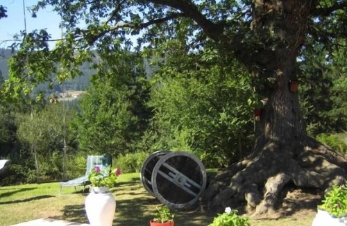 Muxika Cottage | Self catering Pagaigoikoa for 8 people