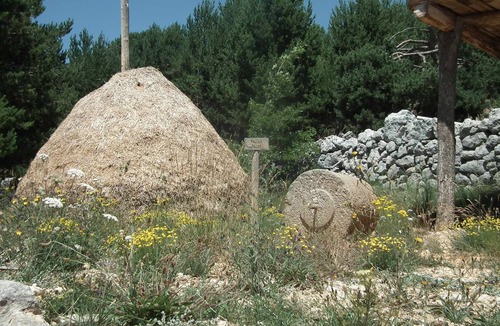 Oden House | Self catering Poble Rural Puigarnau-Pubill�� for 6 people