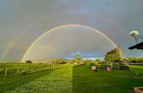 Te Miro House | Self check-in double or single rooms