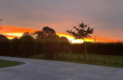 Te Miro House | Self check-in sleepout with bathroom