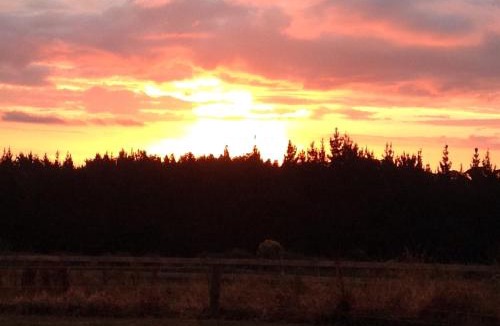 Buckland Apartment | Self Contained Cottage Pukekohe