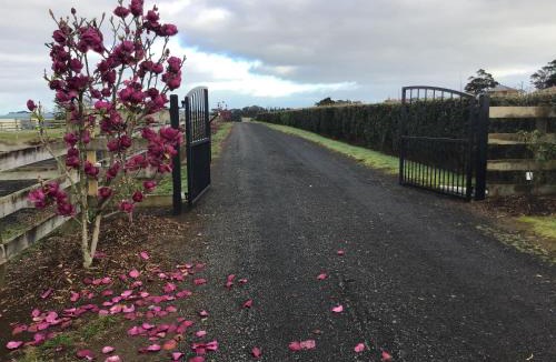 Buckland Apartment | Self Contained Cottage Pukekohe