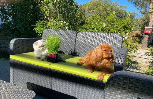 Saint-Genis Apartment | Self-catering in the mountains Pets welcome in the heart of nature Domaine Pedra Llampada