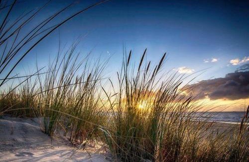 Bindslev Apartment | Sellebjerg Apartment