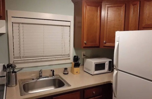 Tampa Ski Chalet | Seminole Heights suite