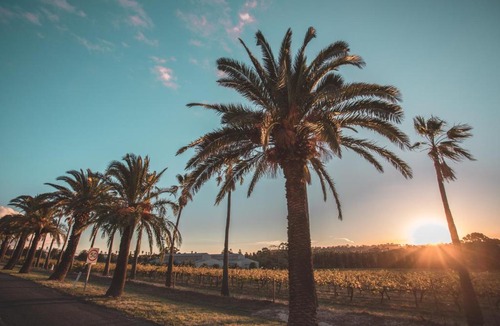 Seppeltsfield House | Seppelts View Cabins