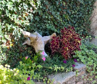 Bersac-sur-Rivalier House | Sequoia cottage