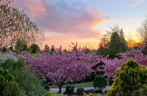 Milton House | Sequoia Vacation Rental