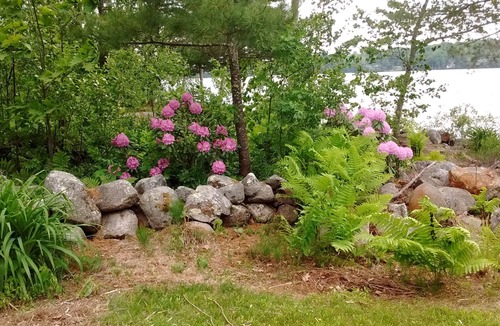 Hope House | Serendipity Cottage by Lermond Pond