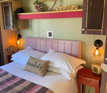 York Other | Serendipity