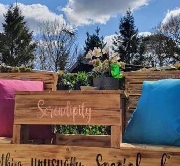 York Other | Serendipity