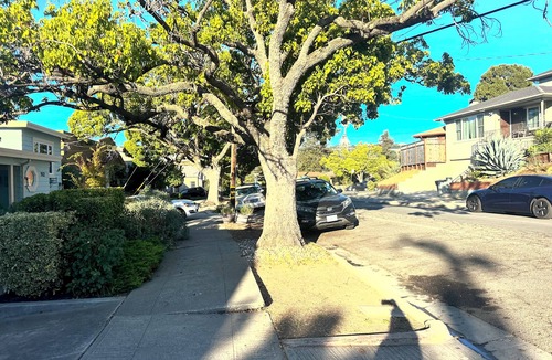 Maxwell Park House | Serene and Convenient