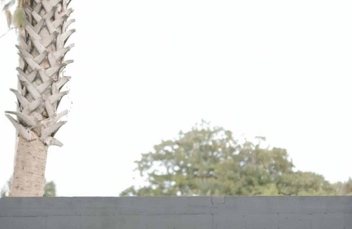 Neptune Beach Apartment | Serene beach condo - walk to the beach!