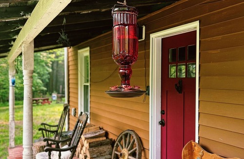 Shinglehouse Cabin | Serene Cabin Retreat on 82 private acres. Pet friendly