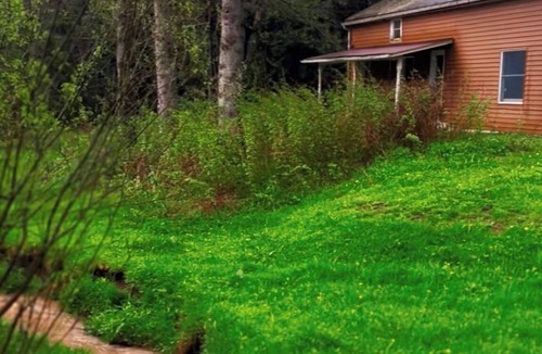 Shinglehouse Cabin | Serene Cabin Retreat on 82 private acres. Pet friendly