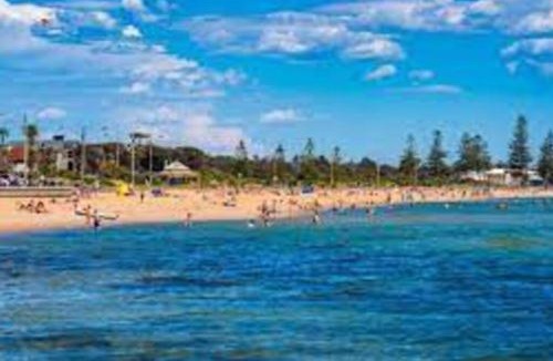 Elwood Apartment | Serene Coastal Haven