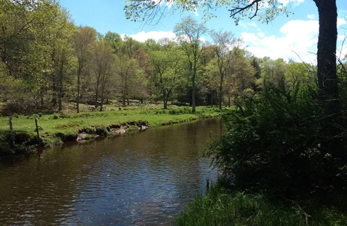 Mildred House | Serene Creek Frontage