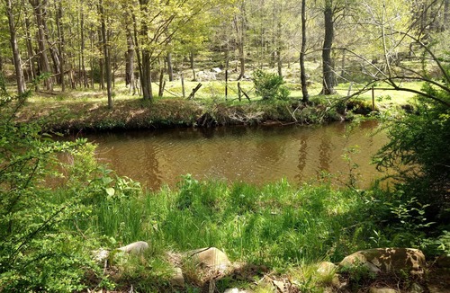 Mildred House | Serene Creek Frontage