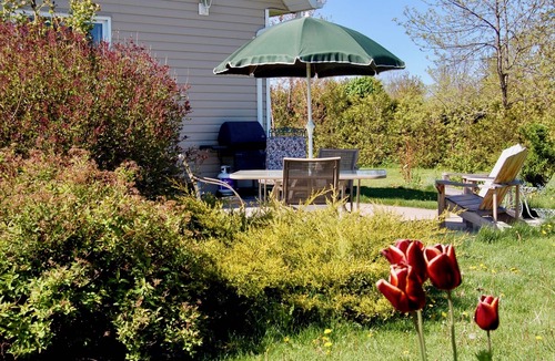 Bluewater Cottage | Serene Escape Private and Tranquil!