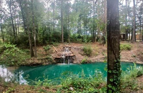 Plantersville House | Serene Forest Retreat Home with Waterfall Pool, Creek & canoe Access near Houston, Grimes County, Texas