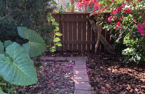 Palmetto Cottage | Serene Island Cottage Waterfront Haven-pet friendly.