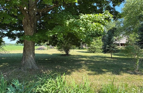 Dunnville House | Serene log home on spacious land with trees and a small farm.