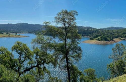 Elk Grove House | Serene Modern Family Getaway Near Midtown Downtown and Folsom Lake