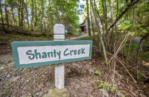 Chatsworth Cabin | Serene Rustic Cabin Getaway - Pet -Friendly!